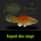 Platy