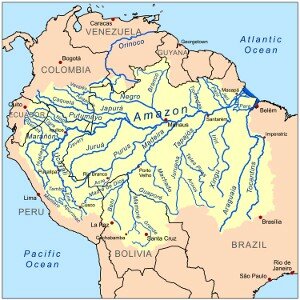 Bassin amazonien