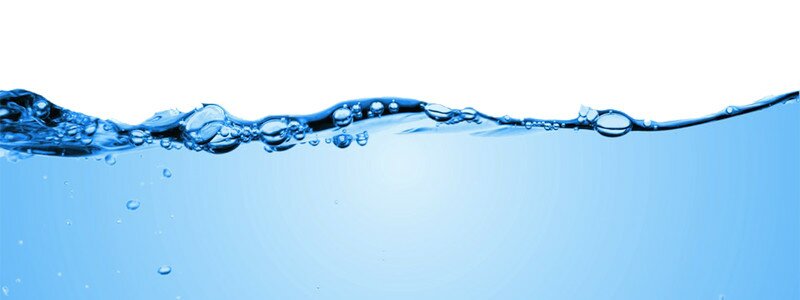 Un aquarium avec une eau cristalline