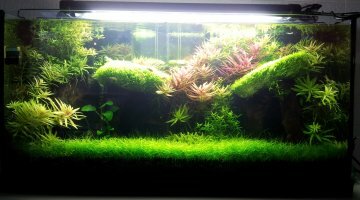 Ancien 96 litres asiatique