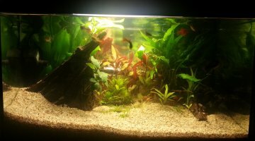 50L Découverte