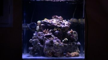 Aquarium