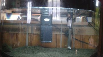 40l CRS et CBS
