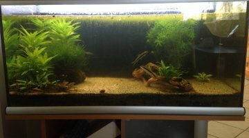 200L communautaire
