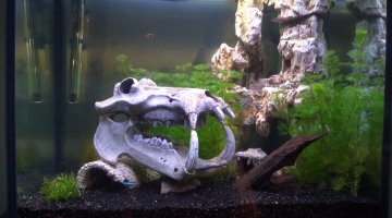 aquadisio 120l