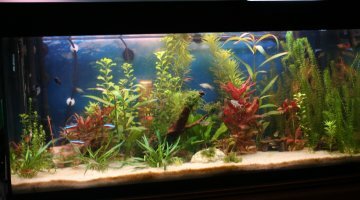 200 litres