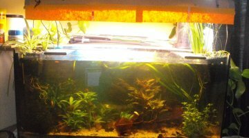 140 L Low-Tech