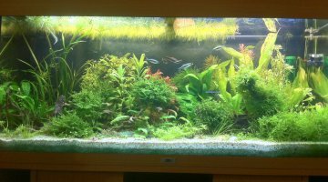 180 litres