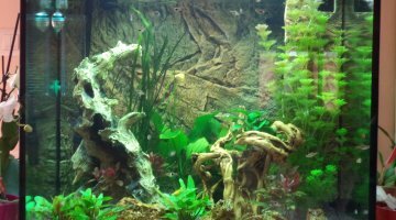 LIDO 200 litres JUWEL