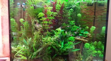 LIDO 200 litres JUWEL