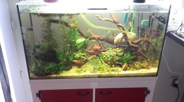 80 litres communautaire