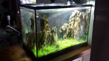 20 Litres
