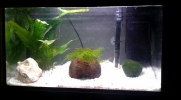 Nano 30 litres
