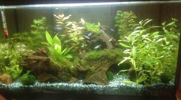 mon premier 54L