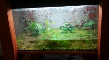 54 litre aquateraium