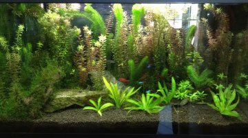 Bac communautaire 120 Litres