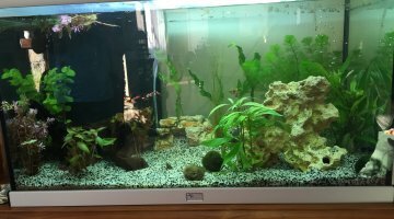 120L aquatlantis