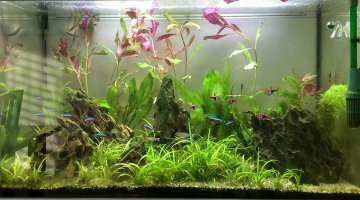 180L communautaire