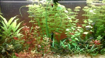 mon 240 litres