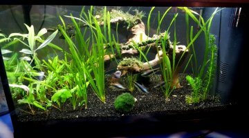 60L - Restructuration