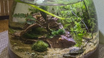 10 litres no tech