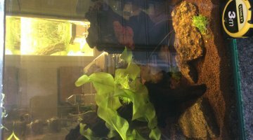 30L - Spécial Crevettes