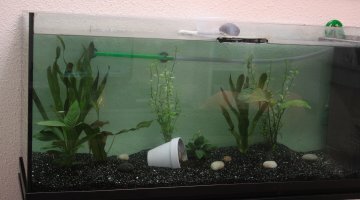 Le 250L de Karl et Jeffrey