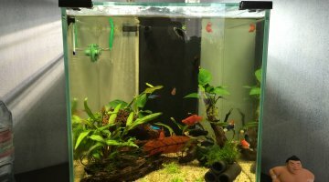 Nano Cubic 40
