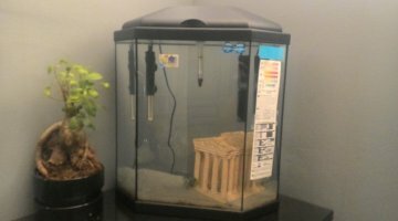 Aquarium 30L