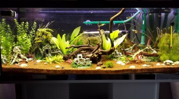 160l communautaire