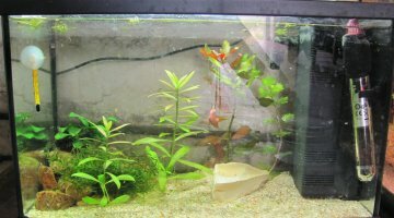 Nano 20 litres