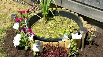 poubellarium 80 litres