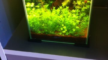 Nano 20 litres
