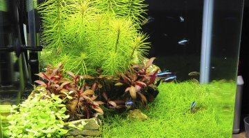 Nano 40 litres