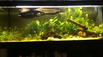 400L communautaire