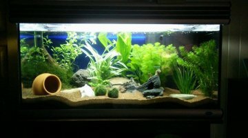 Grand aquarium ♥