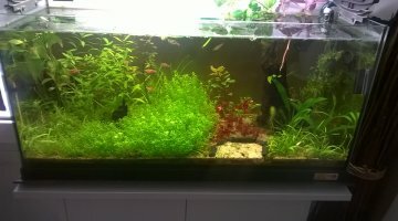 100 litres