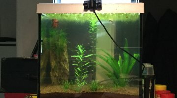 33L Nano ☼
