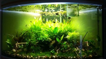 300 litres