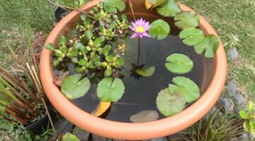 Pot de fleur 150l