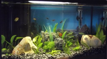 Aqualio Communautaire