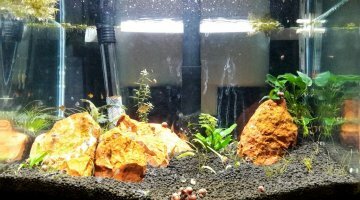 Nano aquascaping
