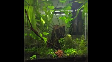 LUKAP77 Nano 30L