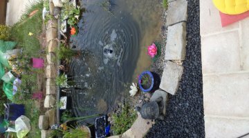 Bassin extérieur 1500l