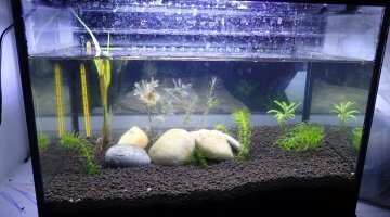 20L poubellarium