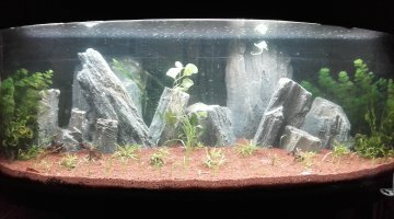 200L asiatique