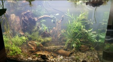 Scaper's Tank 50l