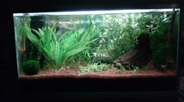 30 litres, un commencement