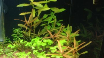 100 L communautaire en travaux