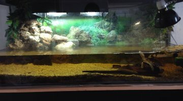 Aquarium tortue d eau